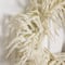 24in. Artificial Real Touch White Norfolk Island Pine Wreath with Natural Look
